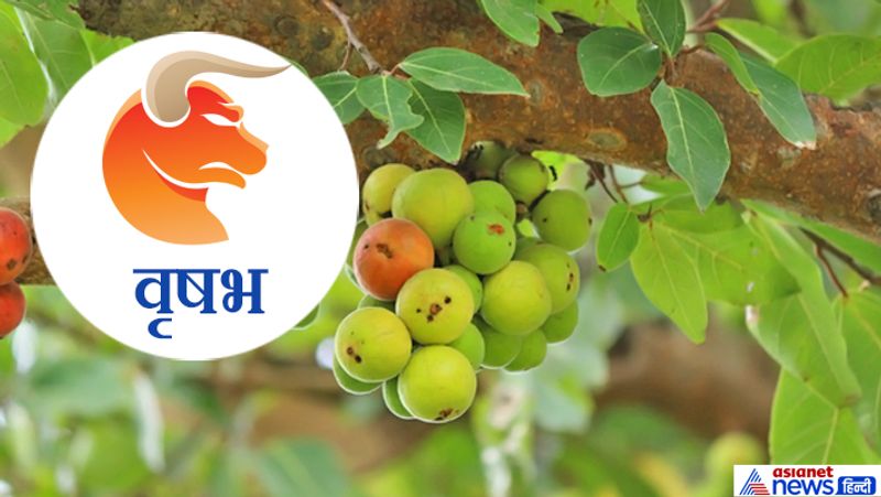 Hariyali Amavasya today: doing plantation according to your zodiac sign may remove planetary defects KPI