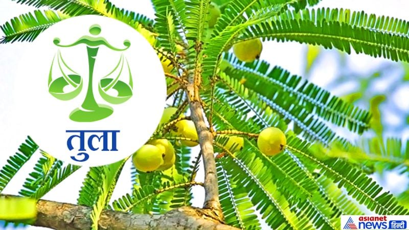 Hariyali Amavasya today: doing plantation according to your zodiac sign may remove planetary defects KPI