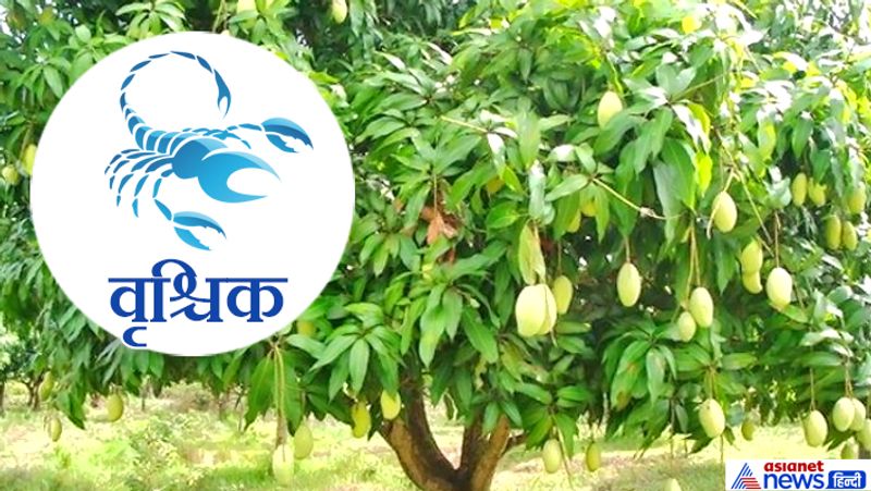 Hariyali Amavasya today: doing plantation according to your zodiac sign may remove planetary defects KPI
