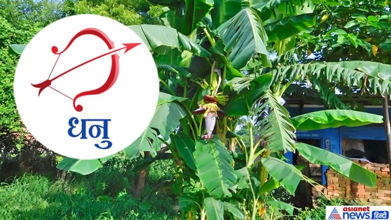 Hariyali Amavasya today: doing plantation according to your zodiac sign may remove planetary defects KPI
