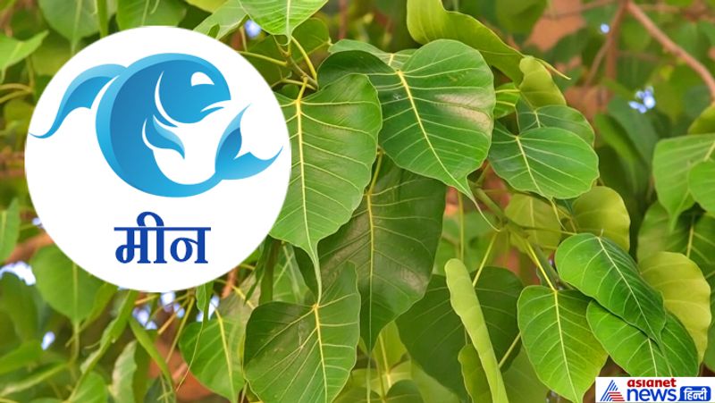 Hariyali Amavasya today: doing plantation according to your zodiac sign may remove planetary defects KPI