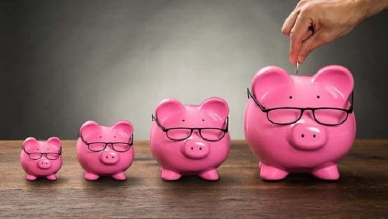 how to earn profit by opening ppf account in sbi, know the process MJA
