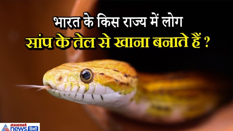 जवाब. सिक्किम, नागालैंड राज्य के 'मेरा गांव के आदिवासी लोग सांप के तेल से खाना पकाते हैं। 
