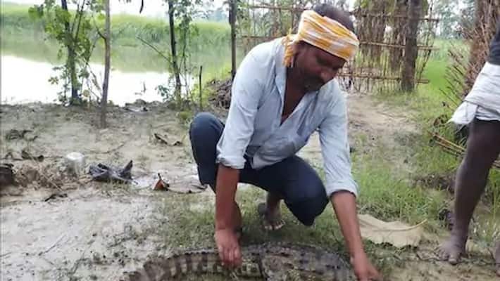 New trouble in Bihar, crocodiles coming to the village with flood water asa New trouble in Bihar, crocodiles coming to the village with flood water asa