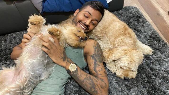 do you know hardik pandya wrist watch price do you know hardik pandya wrist watch price