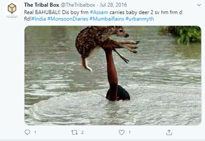 assam flood real bahubali save fawn old bangladesh picture viral kpt