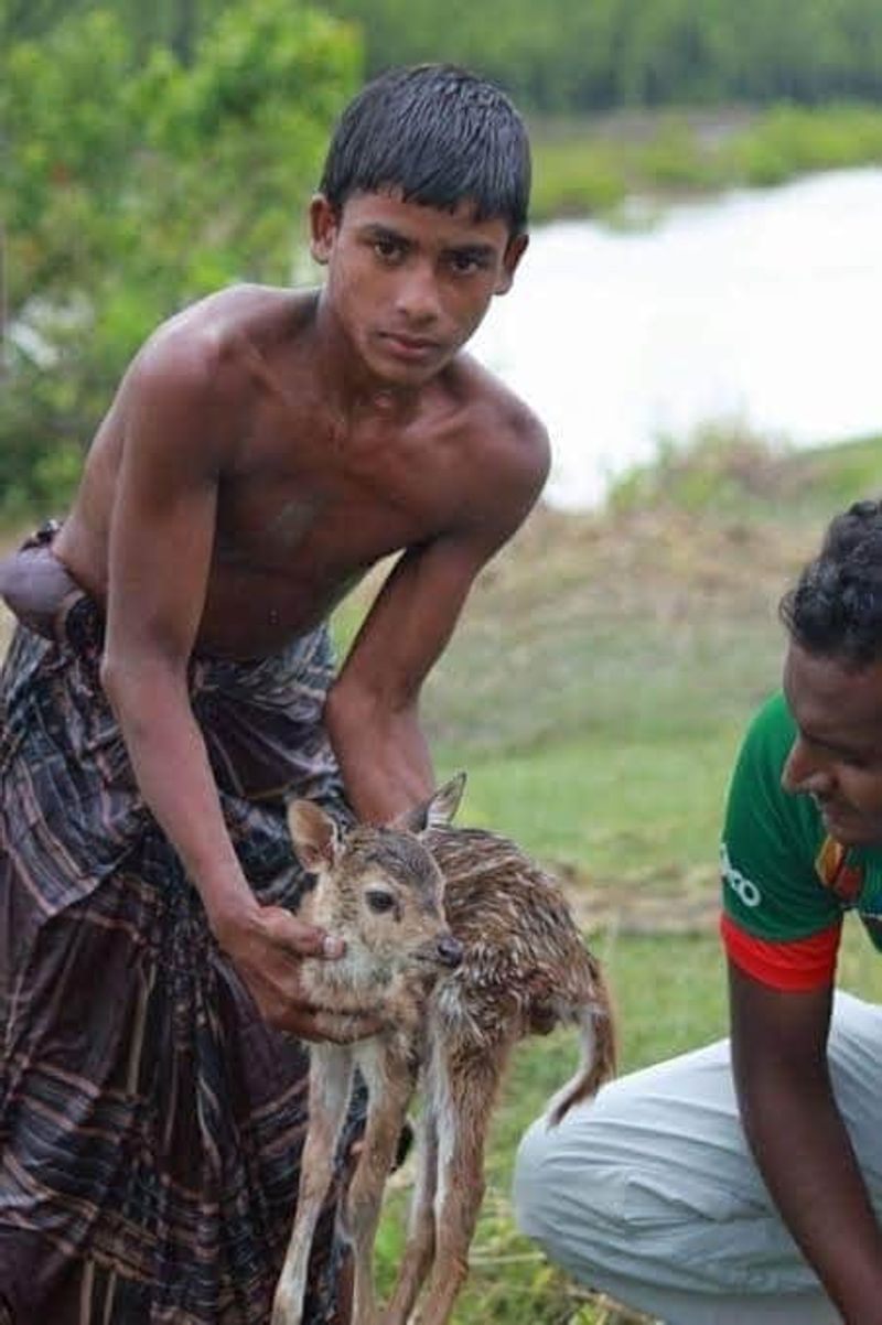assam flood real bahubali save fawn old bangladesh picture viral kpt