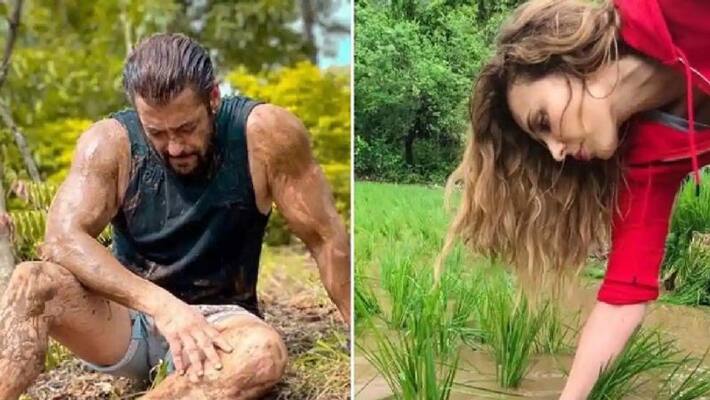 Salman Khan now plants rice in fields with rumoured girlfriend Iulia Vantur Salman Khan now plants rice in fields with rumoured girlfriend Iulia Vantur