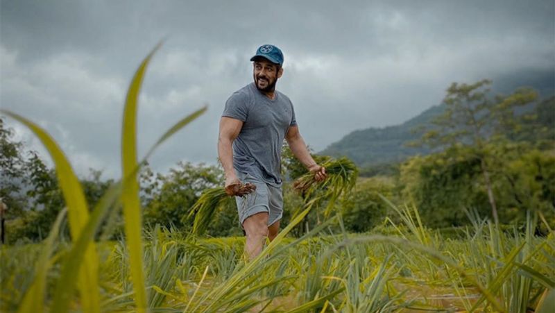 Salman khan rice Dhaan plantation shared video during lockdown And covid 19 pandemic KPY