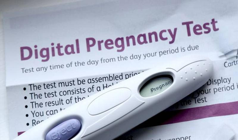husband shocking claim cat made wife pregnant kph