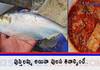 what is the taste secret of Pulasa fish? What is its story?