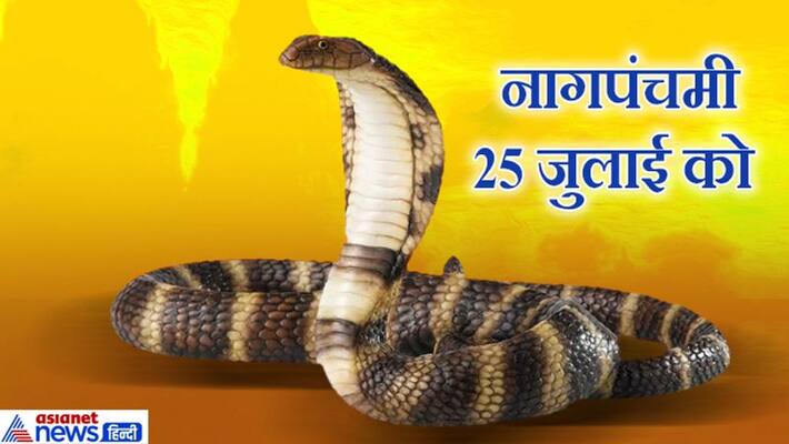 Nagpanchami Know the facts and history about Snakes KPI Nagpanchami Know the facts and history about Snakes KPI