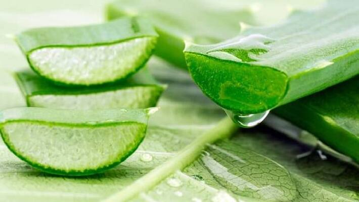 five ways of using aloe vera gel for hair five ways of using aloe vera gel for hair