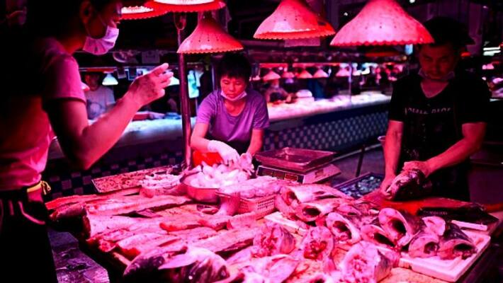 Chinese man loses half his liver to flesh-eating parasites BAL Chinese man loses half his liver to flesh-eating parasites BAL