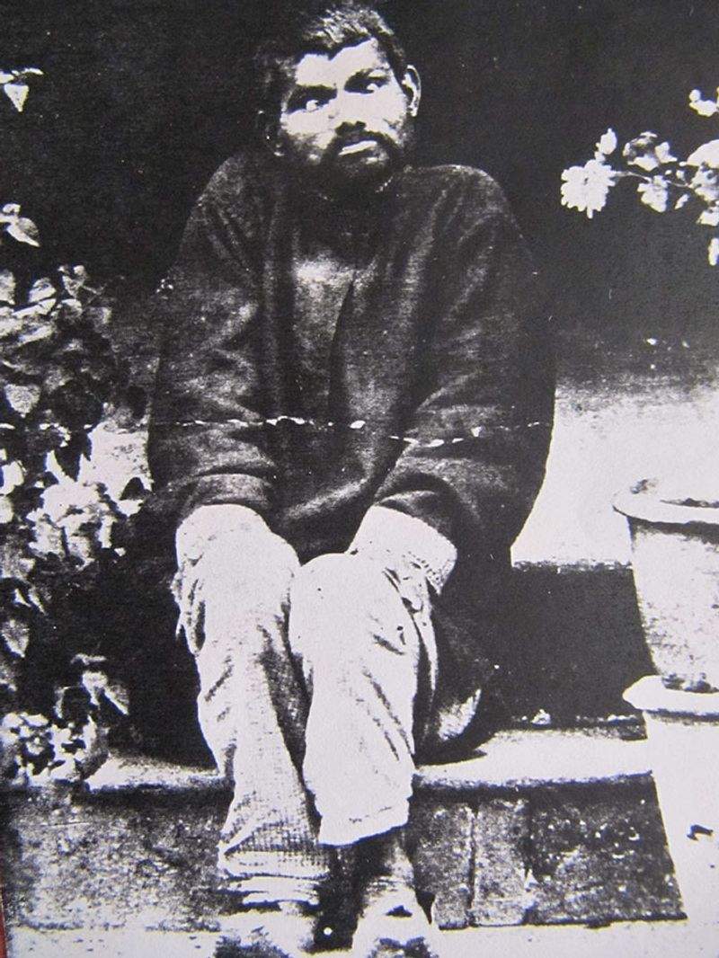 boy founded in jungle living with wolfs photos