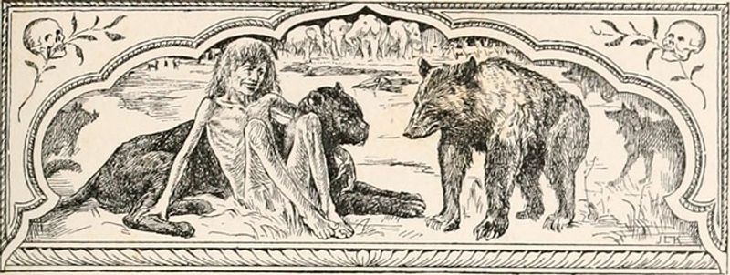 boy founded in jungle living with wolfs photos