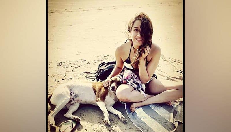 Shraddha Kapoor comes to the rescue of animals