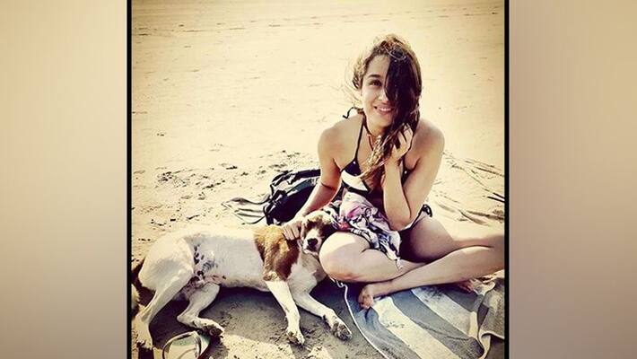 Shraddha Kapoor turns Good Samaritan Shraddha Kapoor turns Good Samaritan