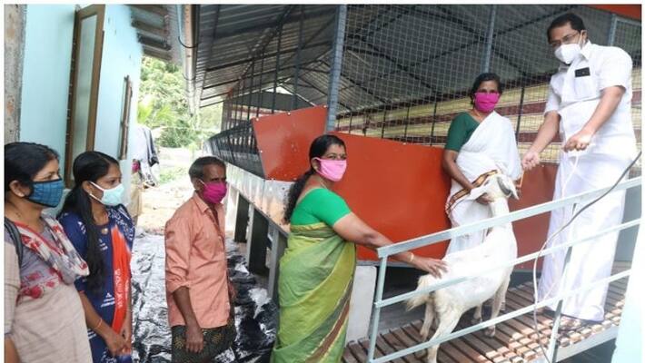 lamb cage which wont affect during flood lamb cage which wont affect during flood