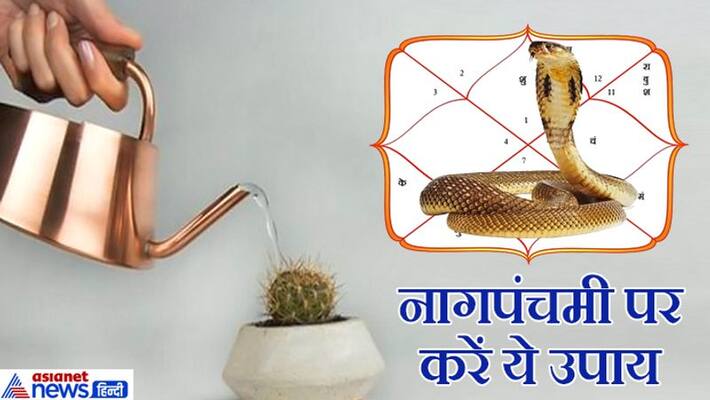 Do any of these 5 remedies on Nagpanchami to get rid of Kal Sarp Dosh KPI Do any of these 5 remedies on Nagpanchami to get rid of Kal Sarp Dosh KPI