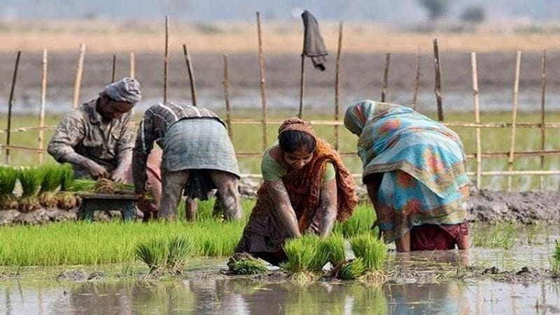 Farmers will get next installment of pm kisan yojana from 1 August, 2020, how to check name in list MJA