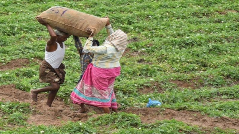 Farmers will get next installment of pm kisan yojana from 1 August, 2020, how to check name in list MJA