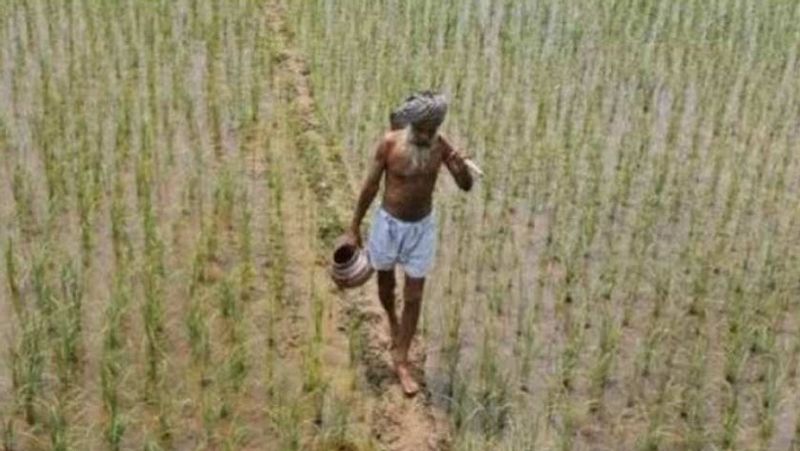 Farmers will get next installment of pm kisan yojana from 1 August, 2020, how to check name in list MJA