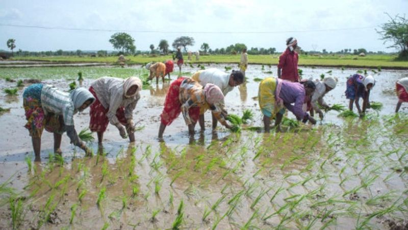 Farmers will get next installment of pm kisan yojana from 1 August, 2020, how to check name in list MJA