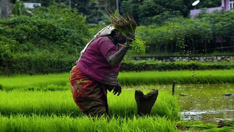 Farmers will get next installment of pm kisan yojana from 1 August, 2020, how to check name in list MJA