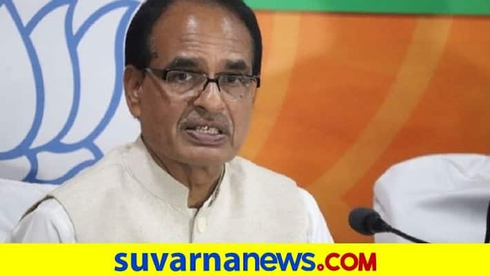 Cows their dung urine can help boost economy Madhya Pradesh CM Shivraj Singh Chouhan pod Cows their dung urine can help boost economy Madhya Pradesh CM Shivraj Singh Chouhan pod
