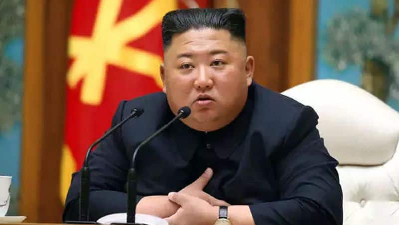 Pet dogs arrived in North Korea, Kim Jong orders to kill