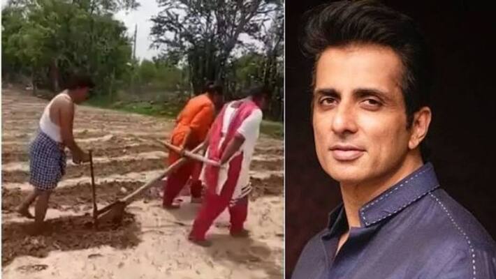 Farmers daughters were running flow in exchange for bull Sonu sood promised to help Farmers daughters were running flow in exchange for bull Sonu sood promised to help