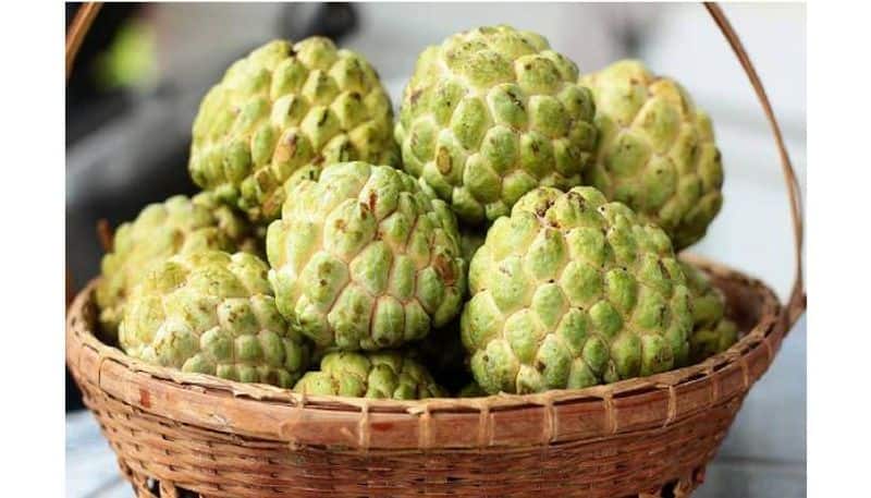 Add custard apple to your diet to stay healthy