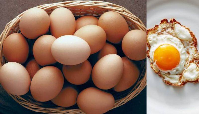 Chicken or Eggs Which is the Better Source of Protein