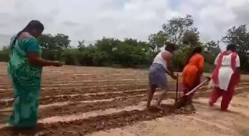 actor soonu sood help the farmers and give tractor