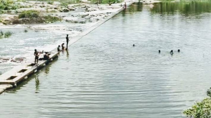 Sand looting continues as water stagnates in the dam, Political points atrocity in Krishnagiri Sand looting continues as water stagnates in the dam, Political points atrocity in Krishnagiri