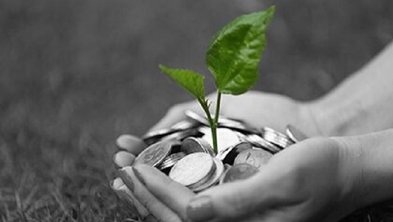 Earn more interest rates on bank savings account with sweep in and sweep out facility, know details MJA