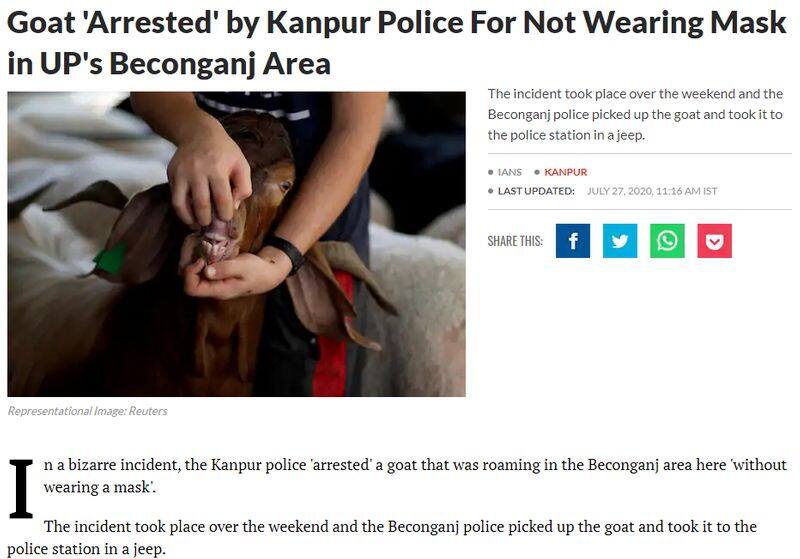 Is it Goat arrested for not wearing mask in Kanpur