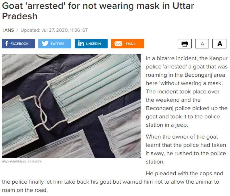 Is it Goat arrested for not wearing mask in Kanpur