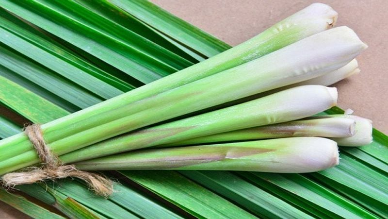 PM Modi Man ki Baat, you can earn lakhs by cultivation of Lemon grass MJA