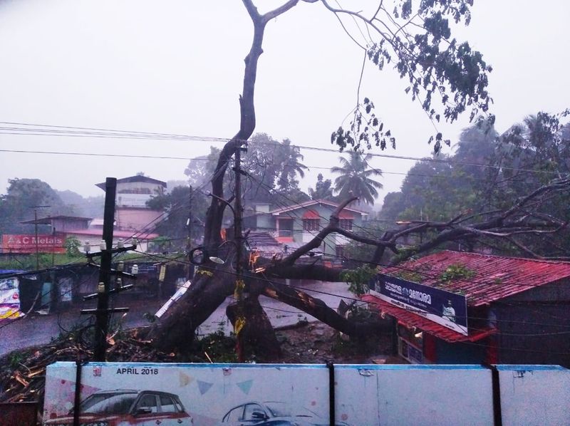 The revenue department sources said a team from the Village Office has been to the place to inspect the devastation caused and to report on rescue and relief operations. There have been incessant rains in the area since Wednesday evening and minor landslides were witnessed in Kavilampara panchayat also.
