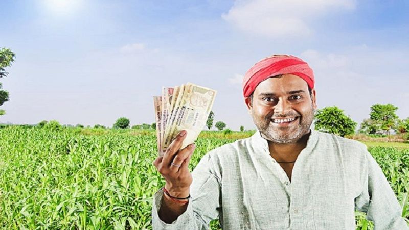 PM Fasal Bima Yojana, 31 July is last date for crop insurance scheme MJA