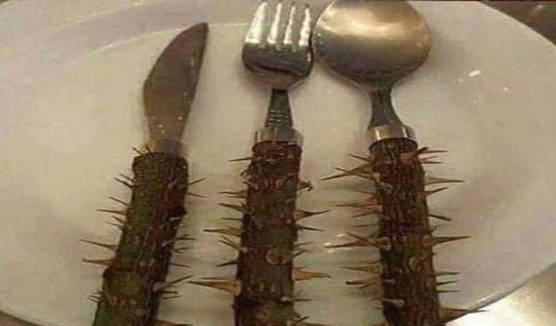 people shared most ugliest design they ever seen from pasta panties to weird beds on instagram kph