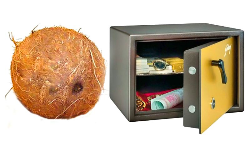 Doing these 4 remedies of coconut on Rakshabandhan may solve finacial problems KPI