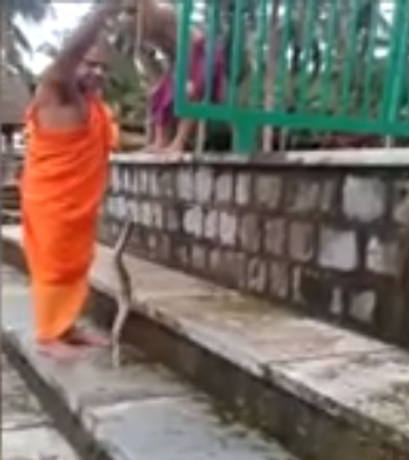 Pejawar vishwa theertha sri catches snake easily