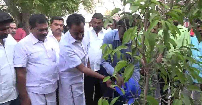 minister mr vijayabaskar planting plenty of trees in karur
