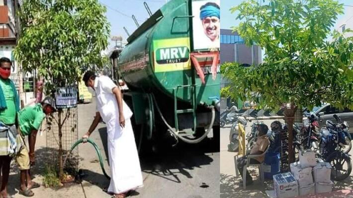 minister mr vijayabaskar planting plenty of trees in karur minister mr vijayabaskar planting plenty of trees in karur