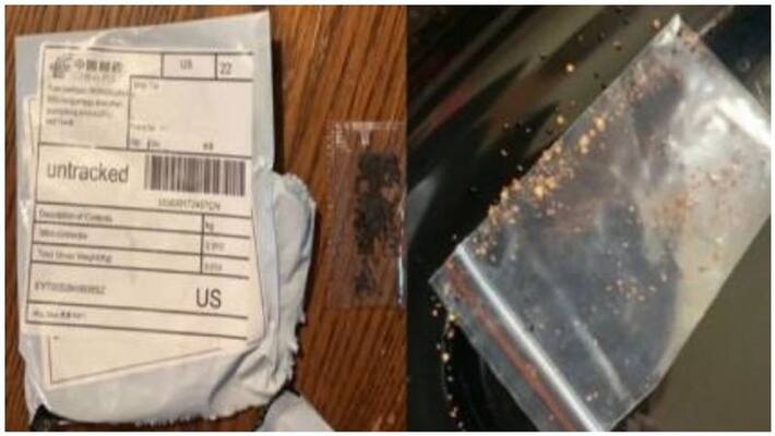 Worse than the Corona ... China parcel danger coming home Worse than the Corona ... China parcel danger coming home