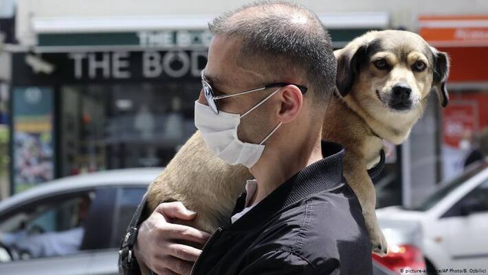 The corona that was violated, 7-year-old dog dies of viral infection The corona that was violated, 7-year-old dog dies of viral infection