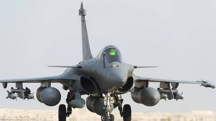 Birds in Ambala Air Base, poses threat to Rafale Jets ALB Birds in Ambala Air Base, poses threat to Rafale Jets ALB